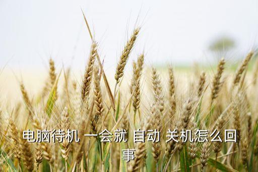 電腦待機 一會就 自動 關(guān)機怎么回事