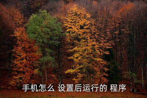  手機怎么 設(shè)置后運行的 程序
