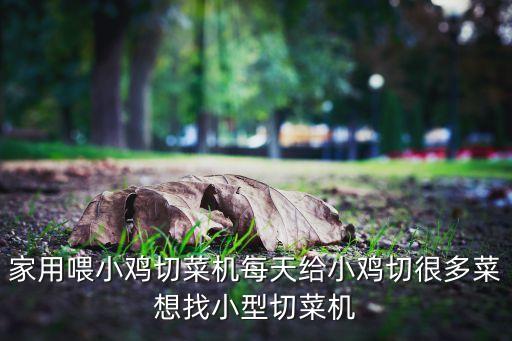家用喂小雞切菜機(jī)每天給小雞切很多菜想找小型切菜機(jī)
