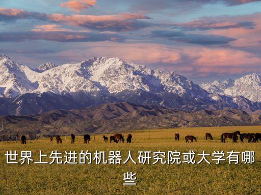 世界上先進的機器人研究院或大學有哪些