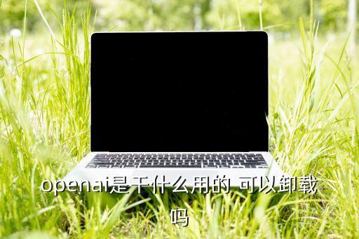 open ai手機(jī)版，手機(jī)助手iphone版官方下載手機(jī)助手安卓版下載安裝