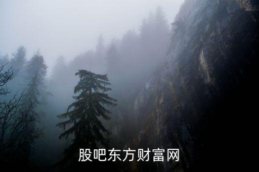 股吧東方財(cái)富網(wǎng)