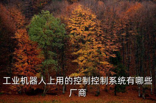 工業(yè)機(jī)器人上用的控制控制系統(tǒng)有哪些廠商