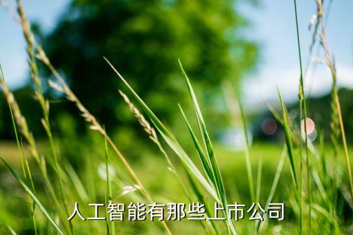 ai智能廠商，國內(nèi)都哪些比較牛的人工智能公司