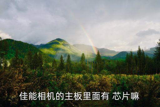 佳能相機(jī)的主板里面有 芯片嘛