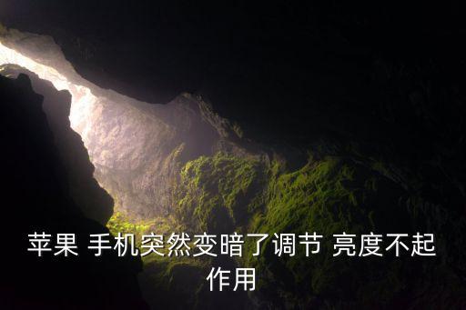 ios手機(jī)自動(dòng)亮度不靈了,蘋果手機(jī)變黑或停用等待溫度下降