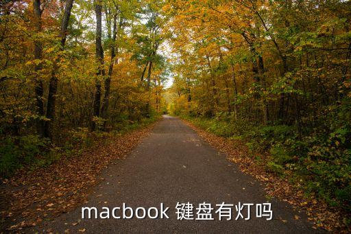 macbook鍵盤背光自動(dòng)嗎,電腦亮燈后如何操作?