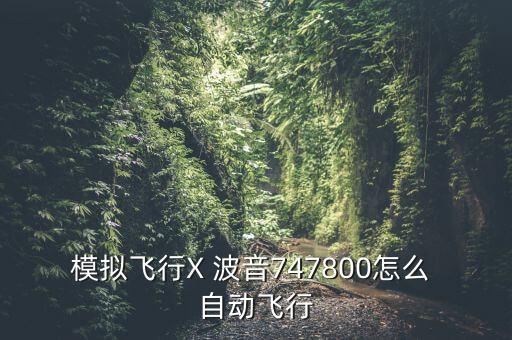 波音飛機自動駕駛,空客和波音is飛機比較優(yōu)勢各有千秋