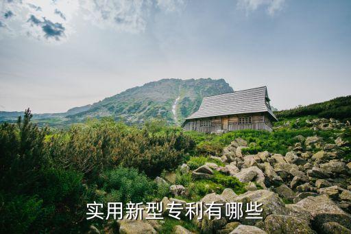 實用新型專利有哪些