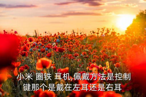  小米 圈鐵 耳機(jī),佩戴方法是控制鍵那個(gè)是戴在左耳還是右耳