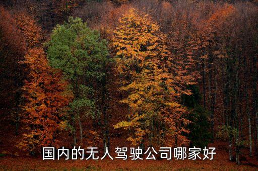 國(guó)內(nèi)的無人駕駛公司哪家好