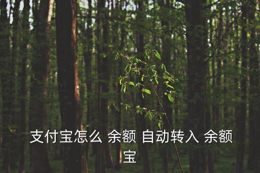 余額寶自動(dòng)轉(zhuǎn)支付寶嗎,余額自動(dòng)轉(zhuǎn)入功能已開啟關(guān)閉方法如下