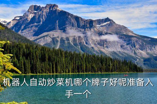 機(jī)器人自動(dòng)炒菜機(jī)哪個(gè)牌子好呢準(zhǔn)備入手一個(gè)