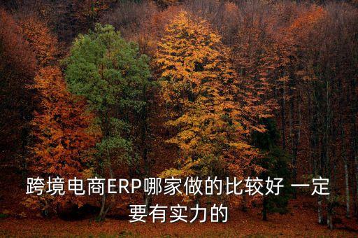 跨境電商ERP哪家做的比較好 一定要有實力的
