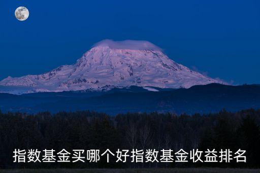 指數(shù)基金買哪個好指數(shù)基金收益排名