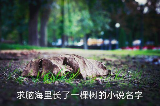 求腦海里長了一棵樹的小說名字