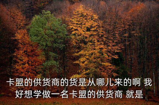 卡盟的供貨商的貨是從哪兒來(lái)的啊 我好想學(xué)做一名卡盟的供貨商 就是