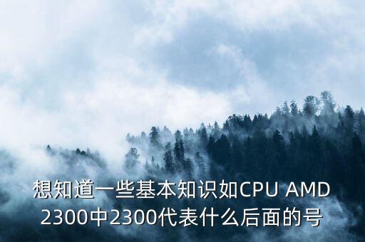 想知道一些基本知識(shí)如CPU AMD2300中2300代表什么后面的號(hào)