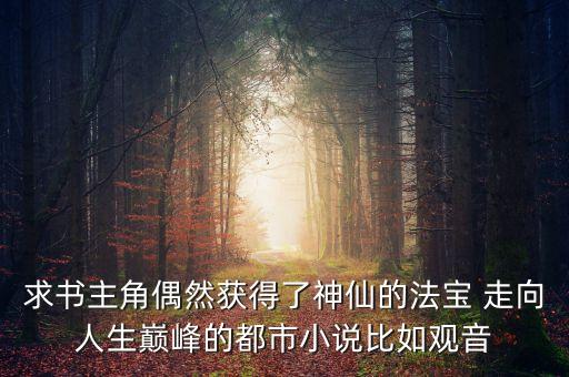 求書主角偶然獲得了神仙的法寶 走向人生巔峰的都市小說比如觀音
