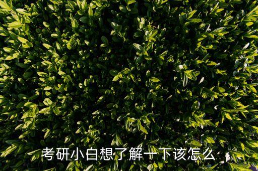 考研小白想了解一下該怎么