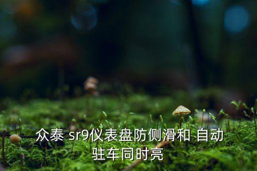 眾泰保時捷sr9自動,獨泰保時捷sr9的駕駛攻略