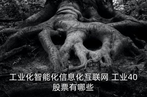 工業(yè)化智能化信息化互聯(lián)網(wǎng) 工業(yè)40股票有哪些