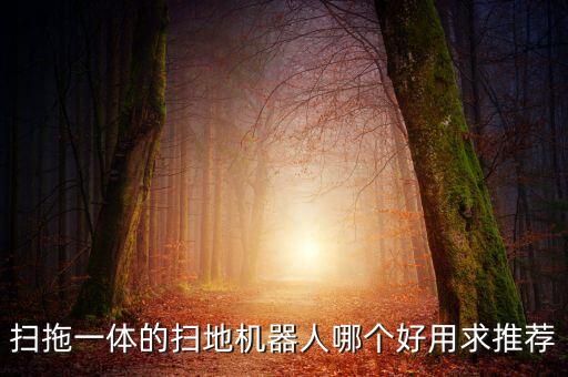 掃拖一體的掃地機(jī)器人哪個(gè)好用求推薦