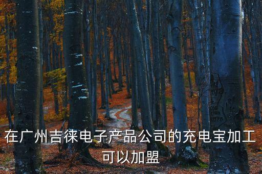 在廣州吉徠電子產(chǎn)品公司的充電寶加工可以加盟