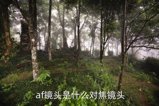 af自動,自動對焦和自動曝光功能介紹
