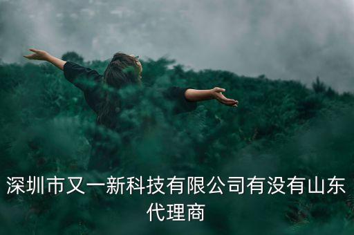 深圳市又一新科技有限公司有沒(méi)有山東代理商