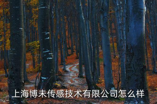 上海博未傳感技術(shù)有限公司怎么樣