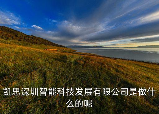凱思深圳智能科技發(fā)展有限公司是做什么的呢