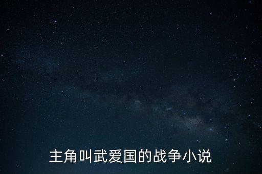 主角叫武愛(ài)國(guó)的戰(zhàn)爭(zhēng)小說(shuō)
