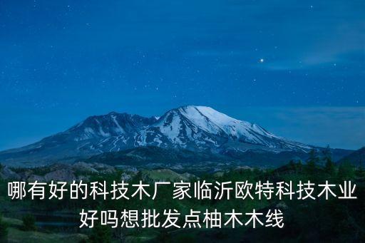 哪有好的科技木廠(chǎng)家臨沂歐特科技木業(yè)好嗎想批發(fā)點(diǎn)柚木木線(xiàn)