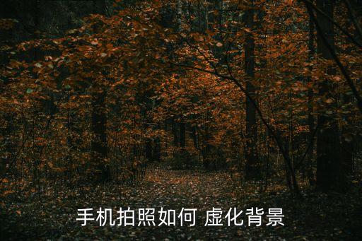 自動對焦的虛化,手動對焦自動拍出背景虛化效果好