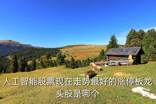 人工智能股票現在走勢最好的漲停板龍頭股是哪個