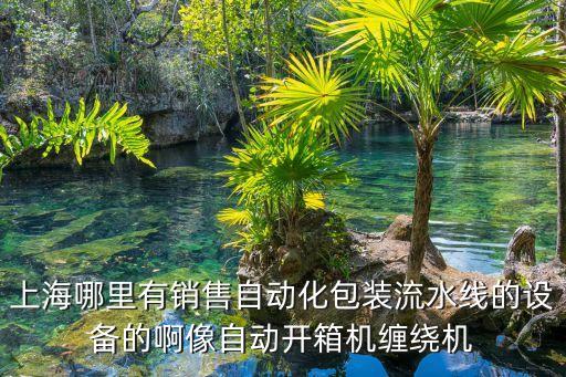 包裝流水線自動(dòng)化設(shè)備，本公司是做食品的準(zhǔn)備要上自動(dòng)化包裝設(shè)備請(qǐng)各位朋友提供一個(gè)做