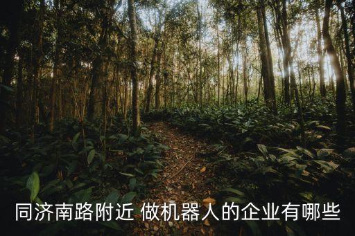 同濟(jì)南路附近 做機(jī)器人的企業(yè)有哪些