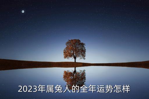2023年屬兔人的全年運勢怎樣