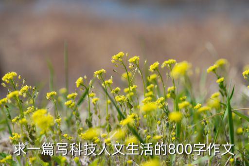 求一篇寫科技人文生活的800字作文