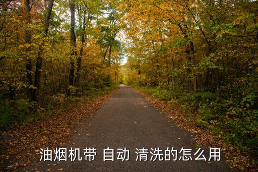  油煙機帶 自動 清洗的怎么用