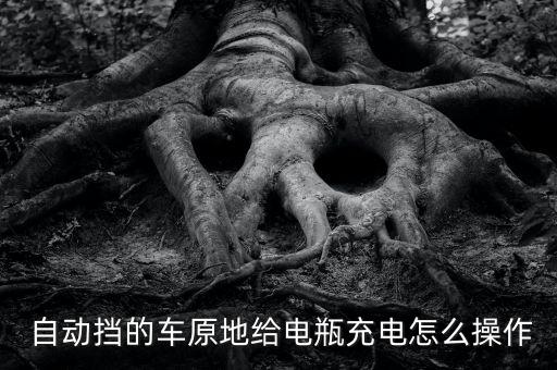  自動(dòng)擋的車原地給電瓶充電怎么操作