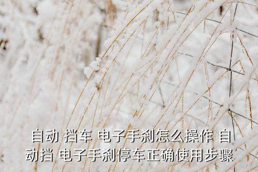 電子自動(dòng)擋車(chē),電子手剎停車(chē)的正確步驟有哪些?