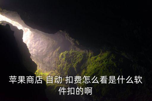 app自動(dòng)扣費(fèi)怎么查看,點(diǎn)擊服務(wù)即可查看-3扣費(fèi)所有服務(wù)