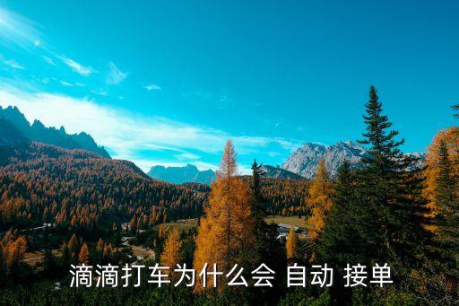滴滴現(xiàn)在是自動(dòng)接單嗎,關(guān)于滴滴travel你必須知道的事情