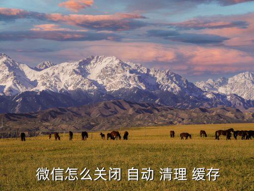  微信怎么關(guān)閉 自動 清理 緩存