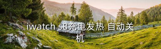 s8自動追焦是灰色的,手表突然停了怎么辦?原因及解決方法