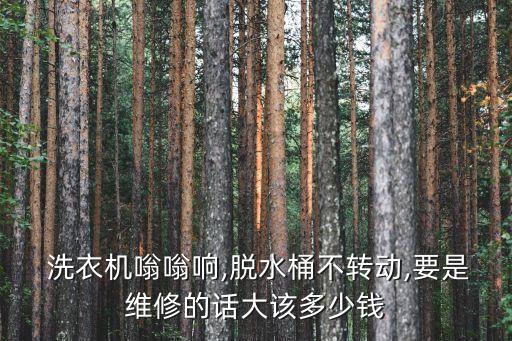 全自動洗衣機電機價格,如何自行購買全自動洗衣機?