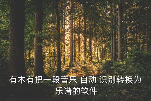 有木有把一段音樂 自動 識別轉(zhuǎn)換為 樂譜的軟件