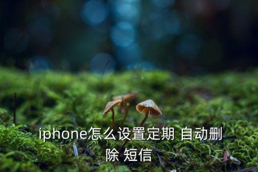  iphone怎么設置定期 自動刪除 短信